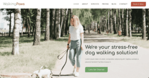 Web Design for Dog Walkers & Pet Sitters